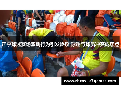 辽宁球迷赛场激动行为引发热议 球迷与球员冲突成焦点