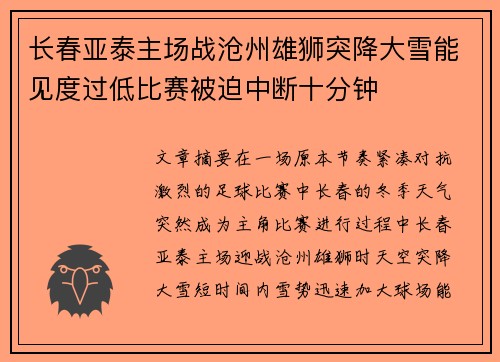 长春亚泰主场战沧州雄狮突降大雪能见度过低比赛被迫中断十分钟
